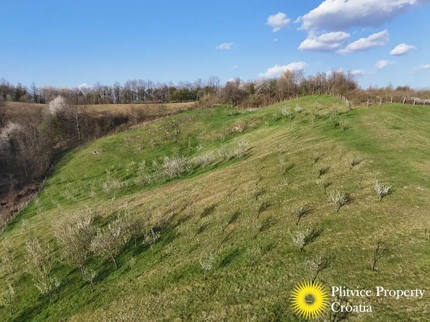 dji_fly_20250403_175506_0838_1743704715406_photo