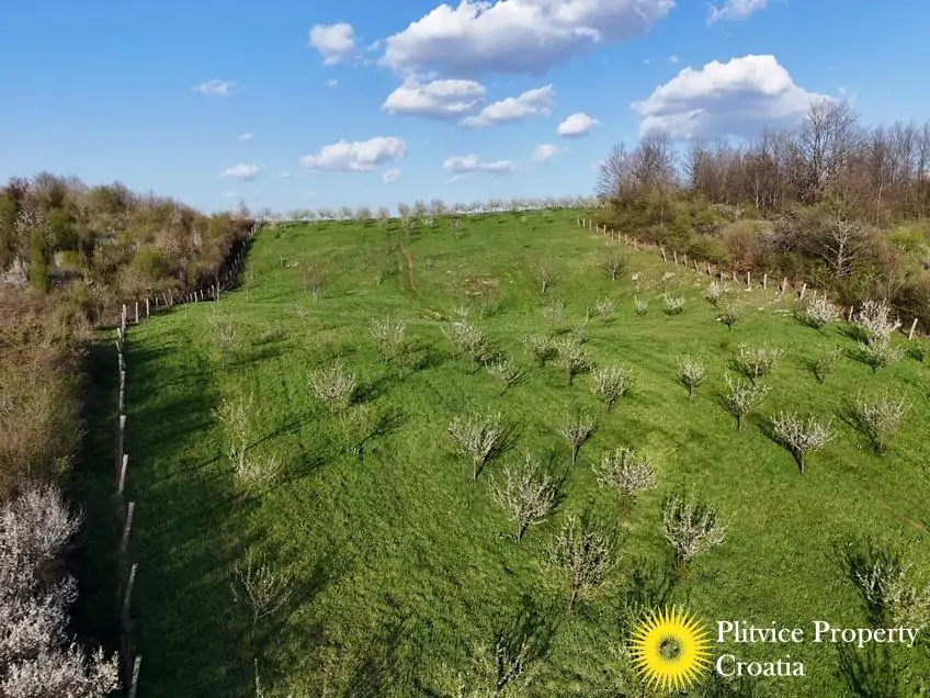 dji_fly_20250403_175526_0839_1743704714952_photo