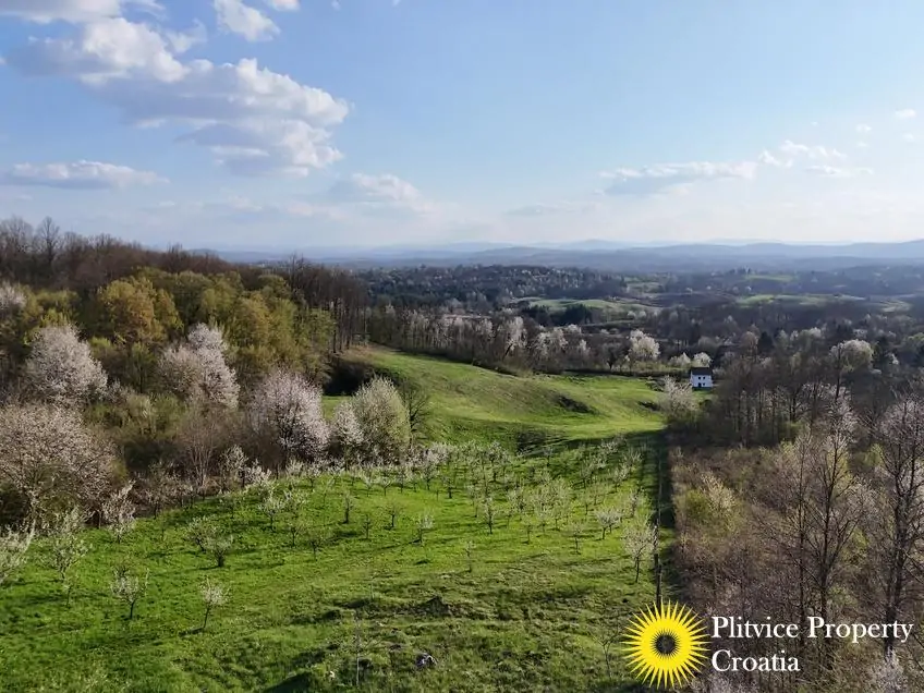 dji_fly_20250403_175530_0840_1743704714482_photo