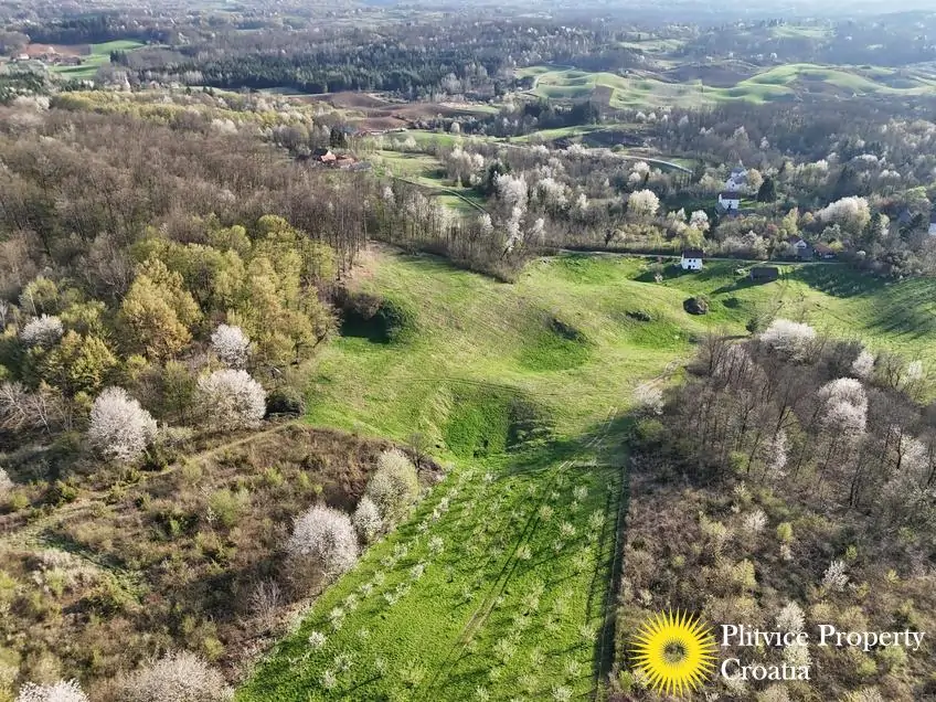 dji_fly_20250403_175544_0841_1743704714110_photo