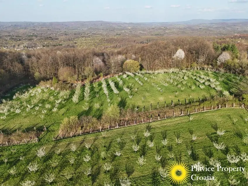 dji_fly_20250403_175618_0844_1743704712931_photo