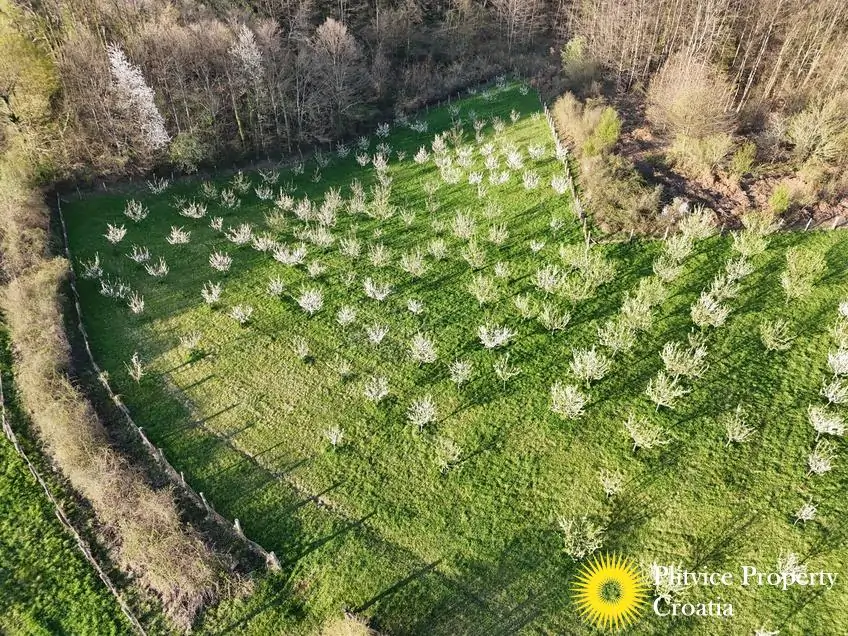 dji_fly_20250403_175628_0845_1743704712134_photo