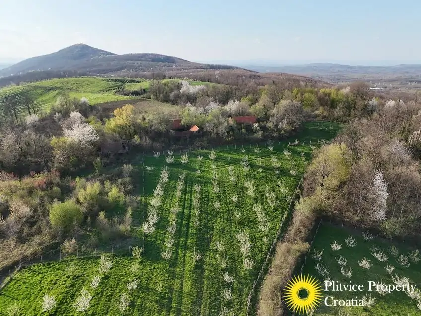 dji_fly_20250403_175648_0848_1743704710643_photo