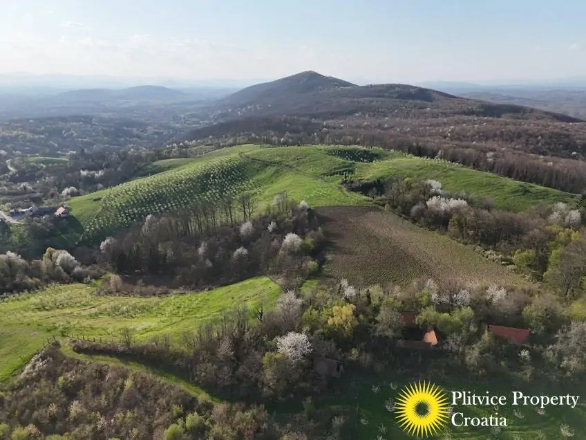 dji_fly_20250403_175718_0849_1743704710200_photo