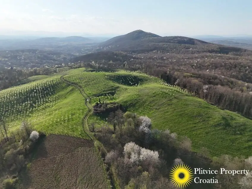 dji_fly_20250403_175742_0850_1743704709834_photo