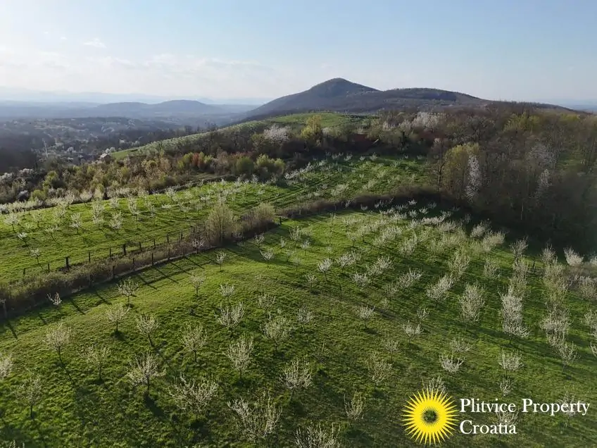 dji_fly_20250403_175844_0852_1743704709019_photo