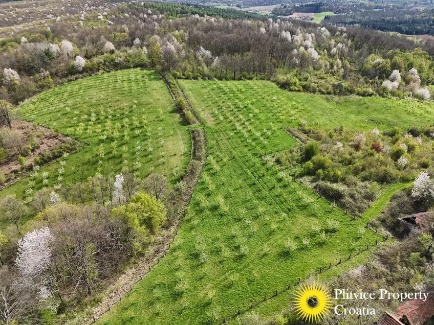 dji_fly_20250410_145504_0881_1744305776223_photo