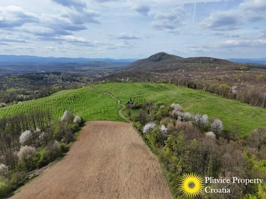 dji_fly_20250410_145510_0882_1744305775599_photo