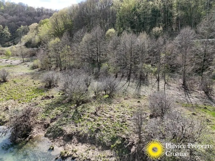 dji_fly_20250410_152742_0888_1744305772161_photo