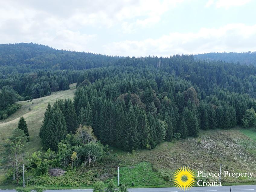 dji_fly_20250811_145208_0004_1754988475849_photo