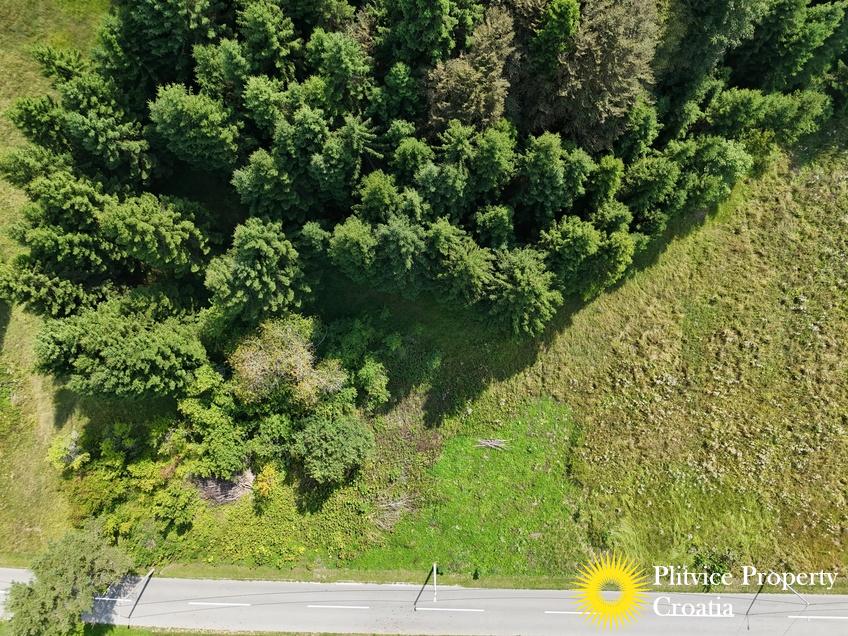 dji_fly_20250811_145346_0007_1754988474762_photo