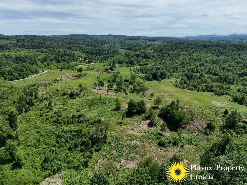 dji_fly_20250530_134810_0548_1748697559942_photo