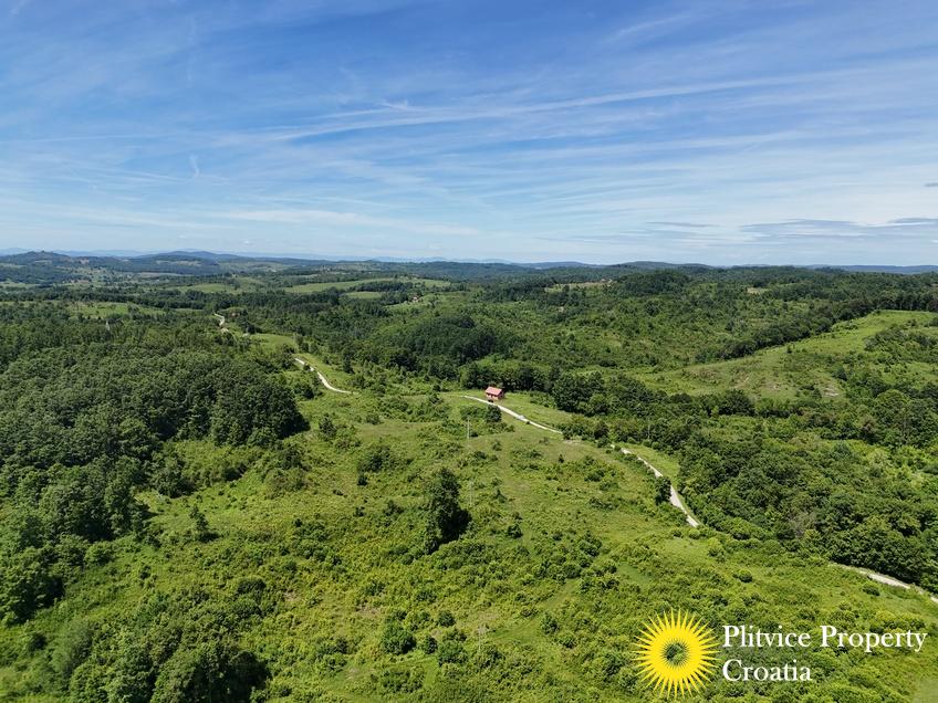 dji_fly_20250530_142346_0557_1748697551646_photo