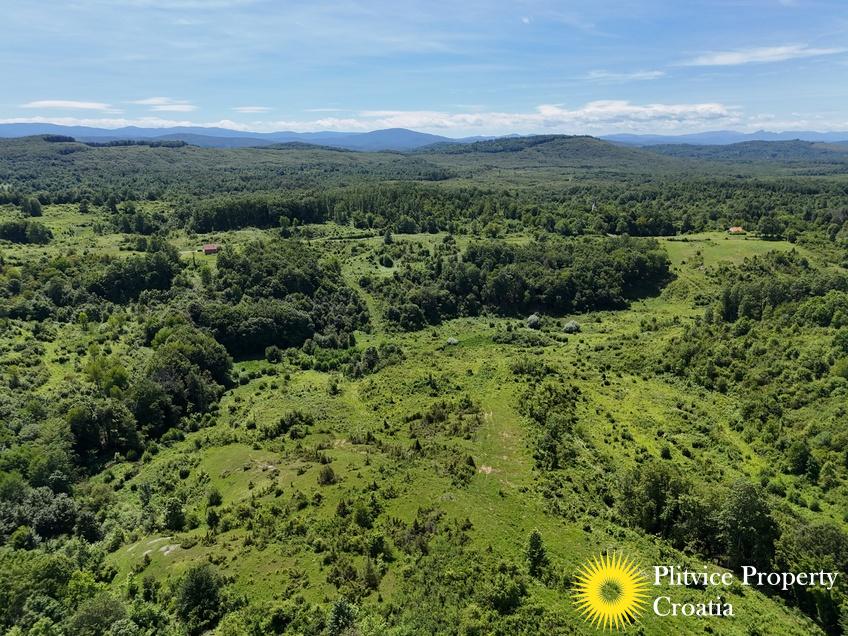 dji_fly_20250530_142530_0561_1748697549807_photo