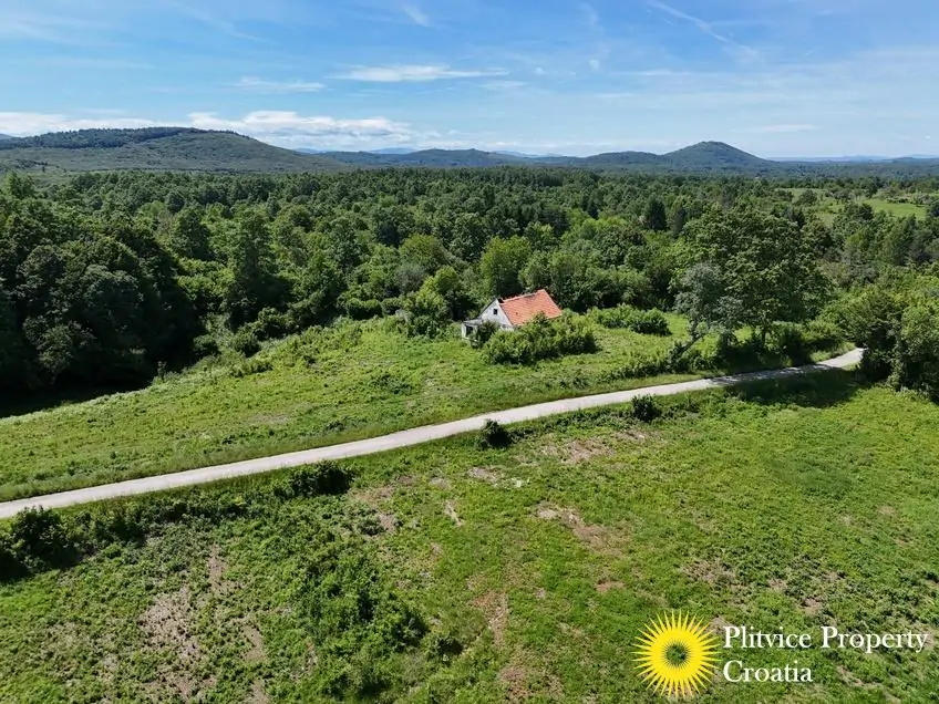 dji_fly_20250530_142626_0563_1748697548861_photo