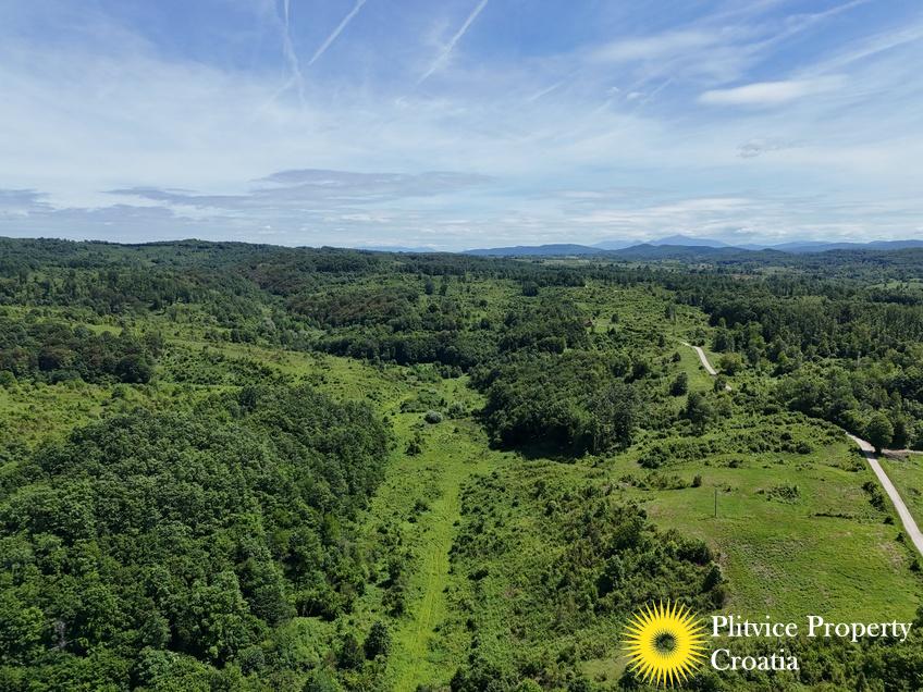 dji_fly_20250530_142706_0566_1748697547439_photo