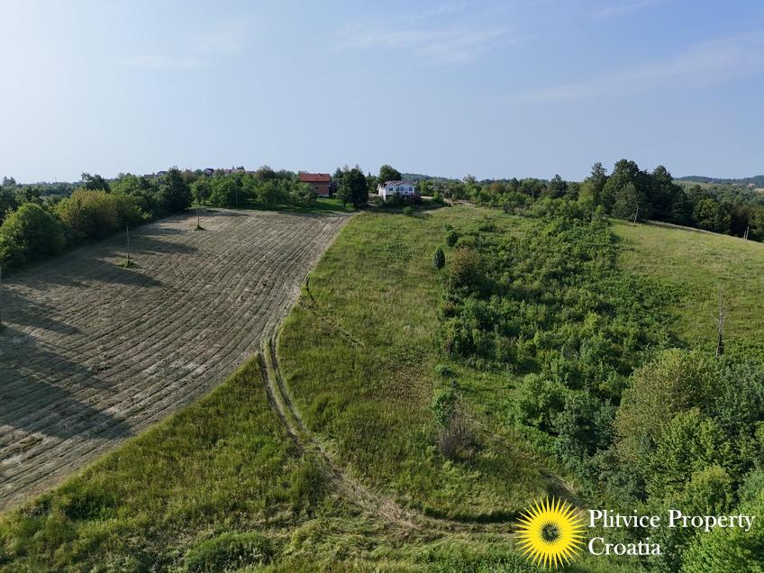 dji_fly_20250612_174352_0723_1749801586654_fotka