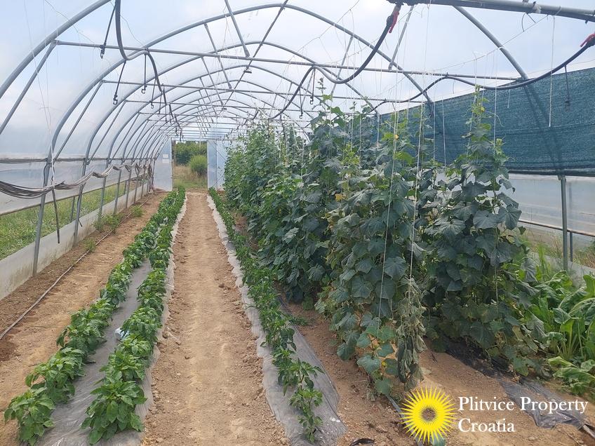 Tijek_IMG_20250710_122325_01_238