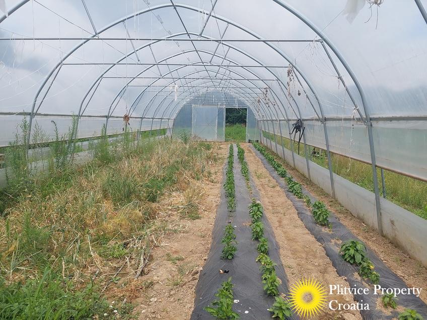 Tijek_IMG_20250710_122340_01_239