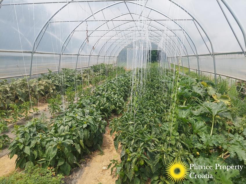 Tijek_IMG_20250710_122352_01_240