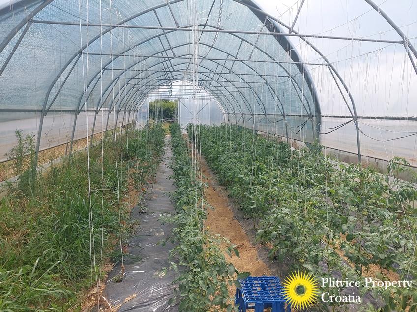 Tijek_IMG_20250710_122412_01_241