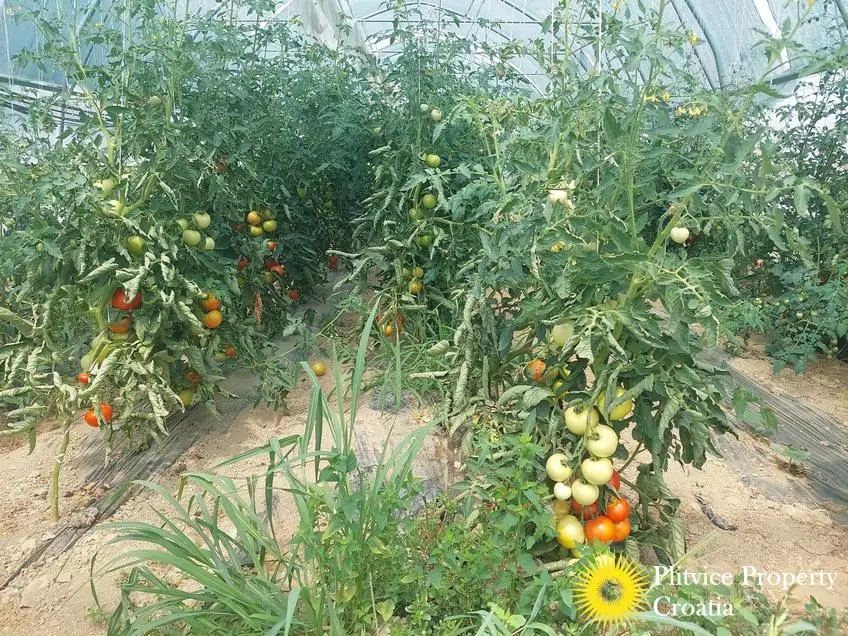 Tijek_IMG_20250710_122434_01_242