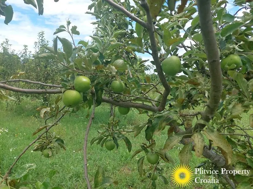 Tijek_IMG_20250710_122719_01_246