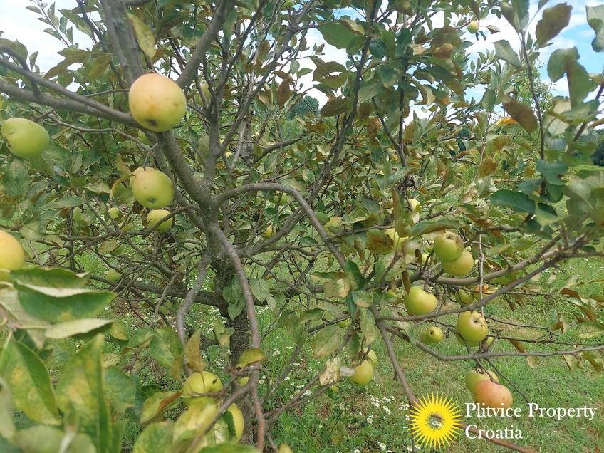 Tijek_IMG_20250710_122747_01_247