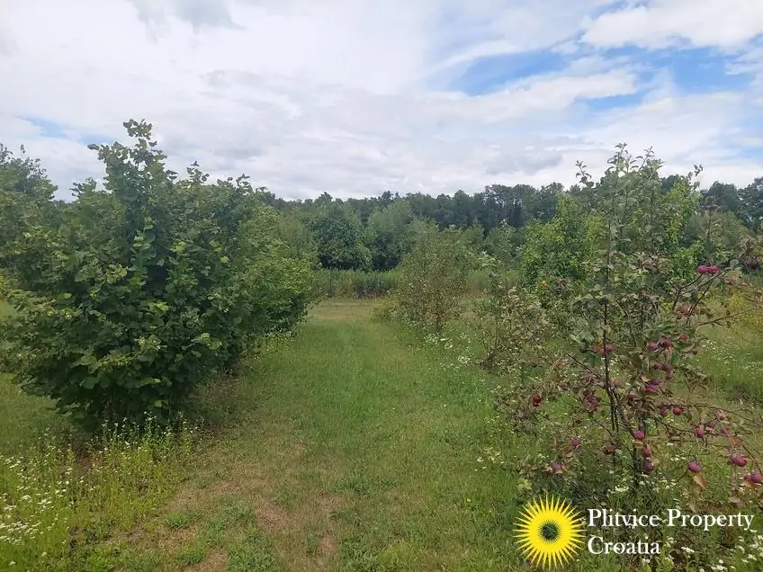 Tijek_IMG_20250710_122758_01_248