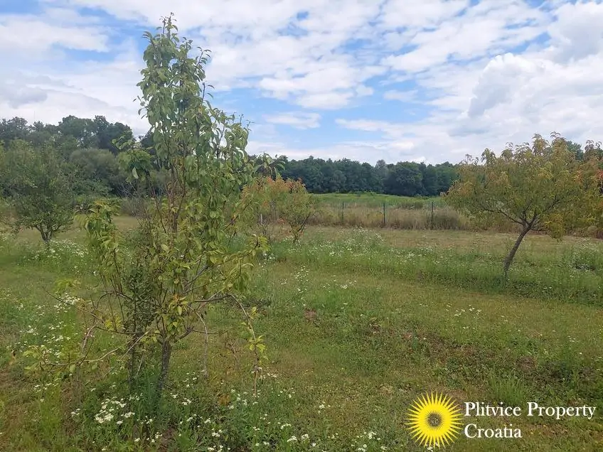 Tijek_IMG_20250710_122810_01_249