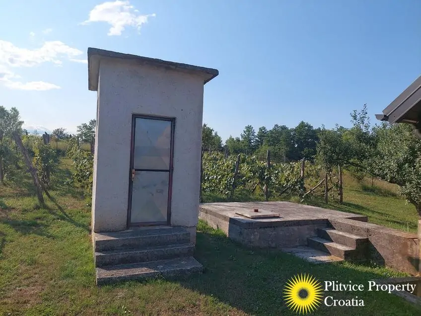 Flow_IMG_20250714_172629_01_280