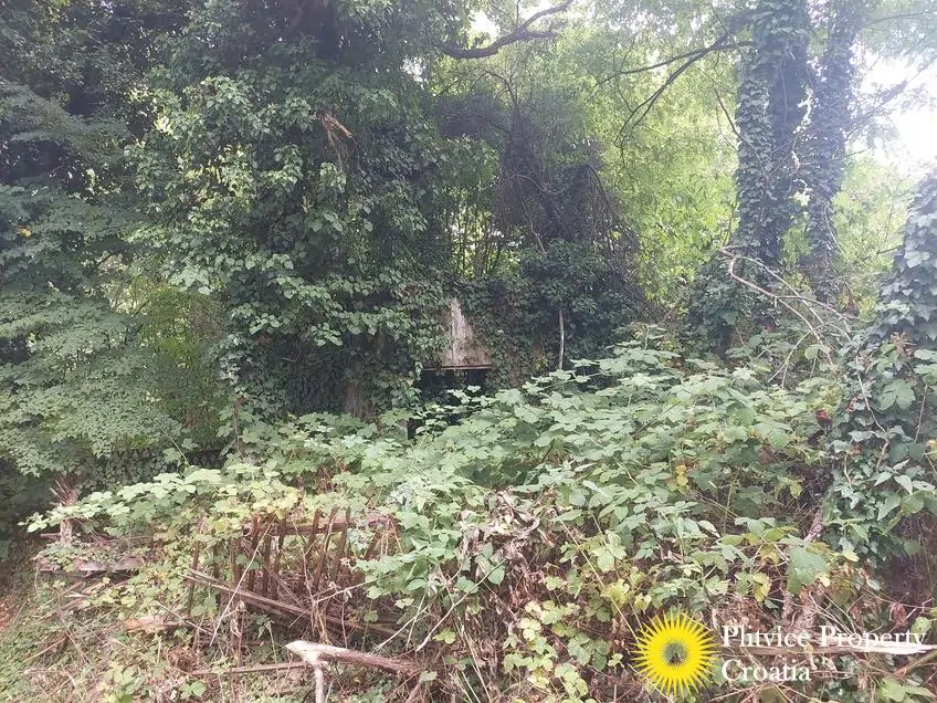 Flow_IMG_20250716_133257_01_319