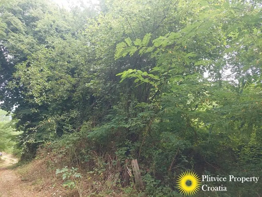 Flow_IMG_20250716_133318_01_321