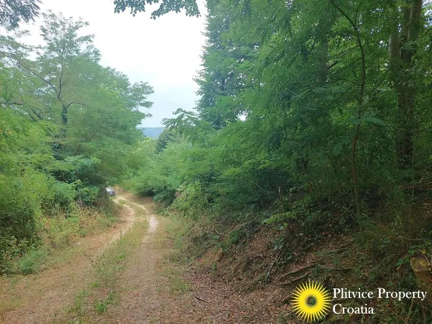 Flow_IMG_20250716_133345_01_322