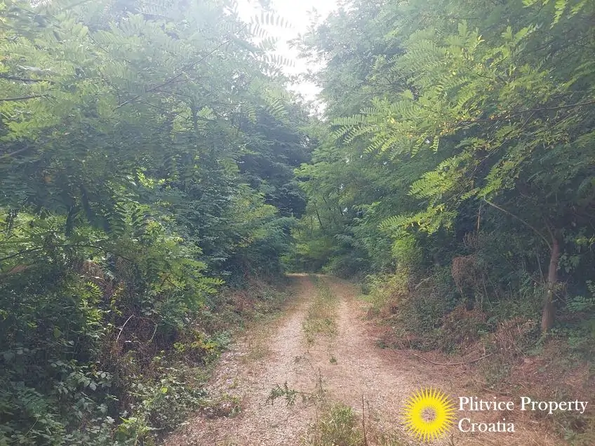 Flow_IMG_20250716_133420_01_323