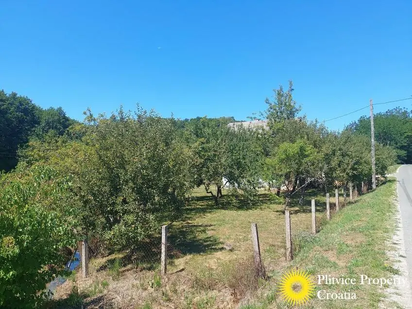 Flow_IMG_20250718_115032_01_418