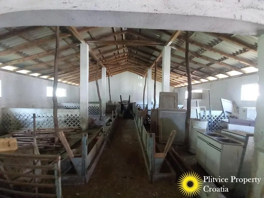 Flow_IMG_20250718_120303_01_447