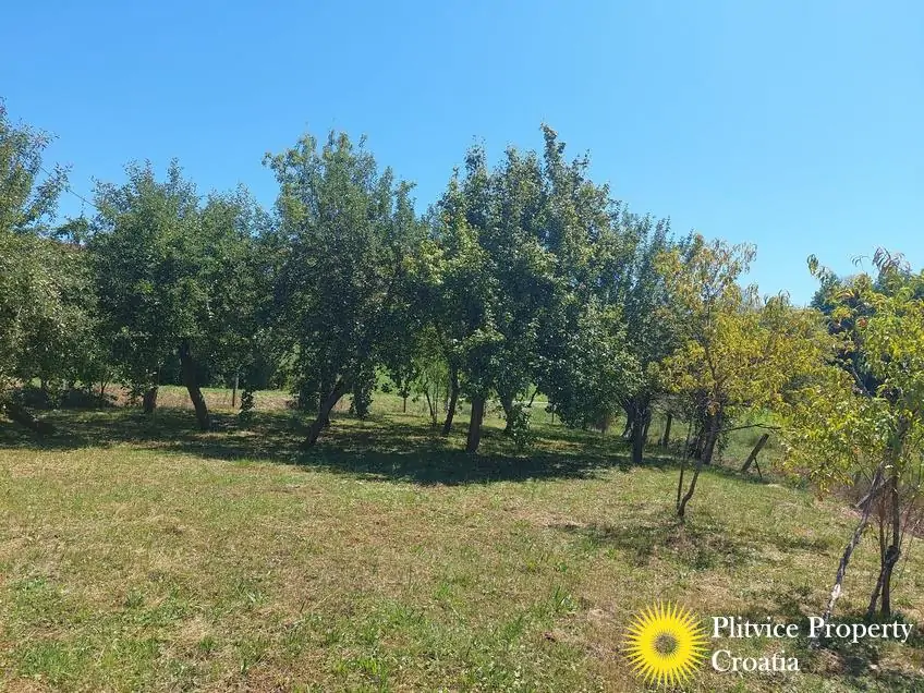 Flow_IMG_20250718_120526_01_453