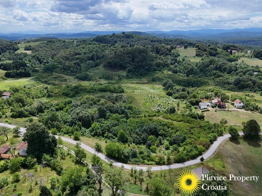 dji_fly_20250709_132220_0811_1752120911192_photo