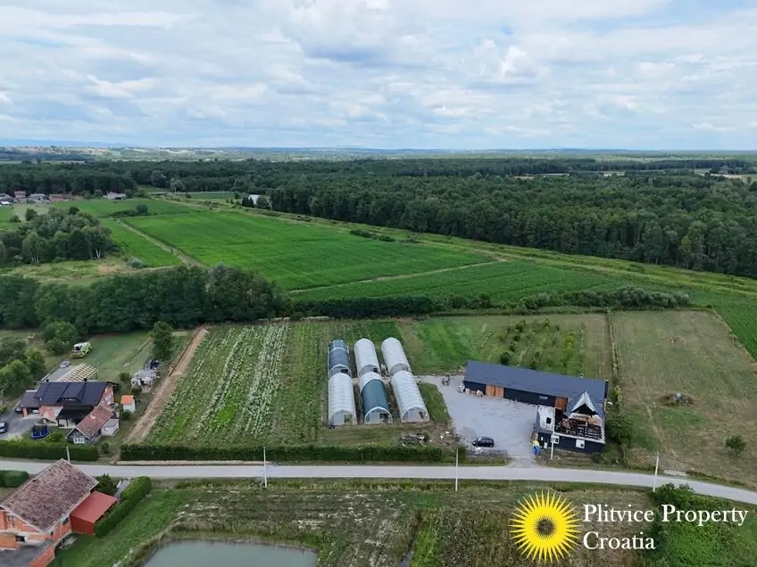 dji_fly_20250710_120724_0844_1752207356026_fotka