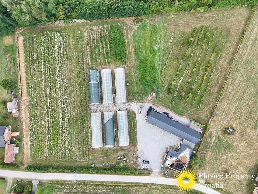 dji_fly_20250710_120818_0846_1752207355170_fotka