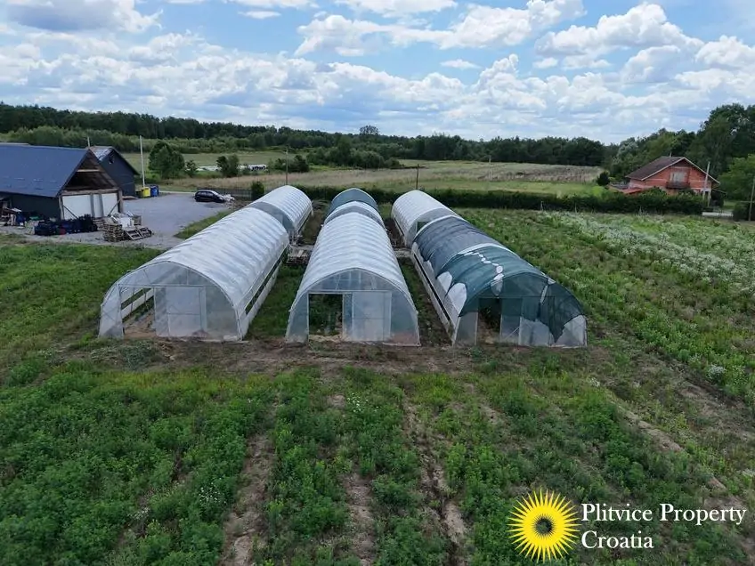 dji_fly_20250710_120924_0848_1752207354228_fotka