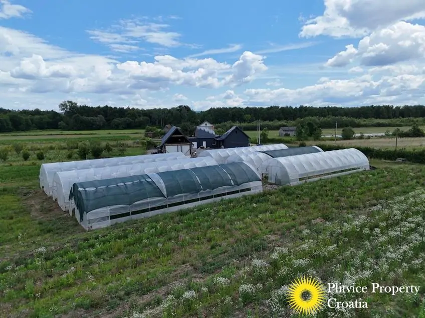 dji_fly_20250710_120942_0849_1752207353786_fotka