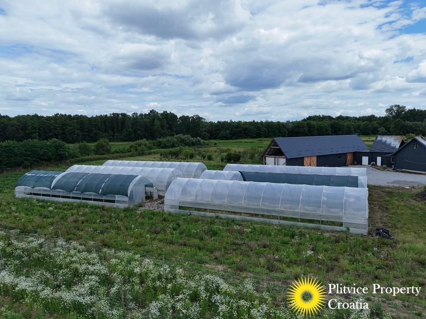 dji_fly_20250710_120958_0850_1752207353399_fotka