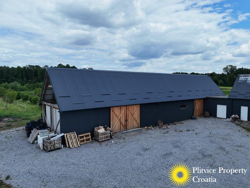 dji_fly_20250710_121010_0851_1752207353051_fotka