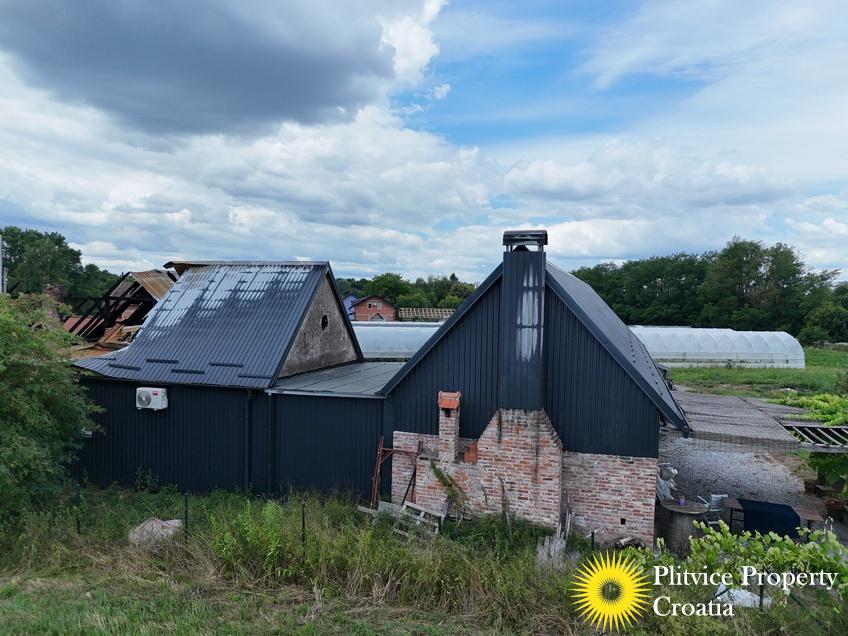 dji_fly_20250710_121102_0854_1752207351970_fotka