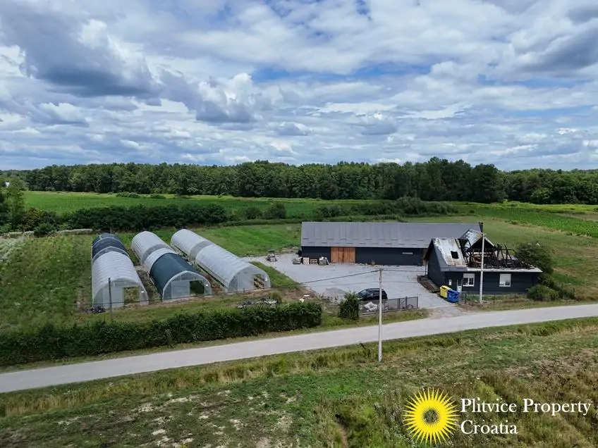 dji_fly_20250710_121214_0857_1752207350895_fotka