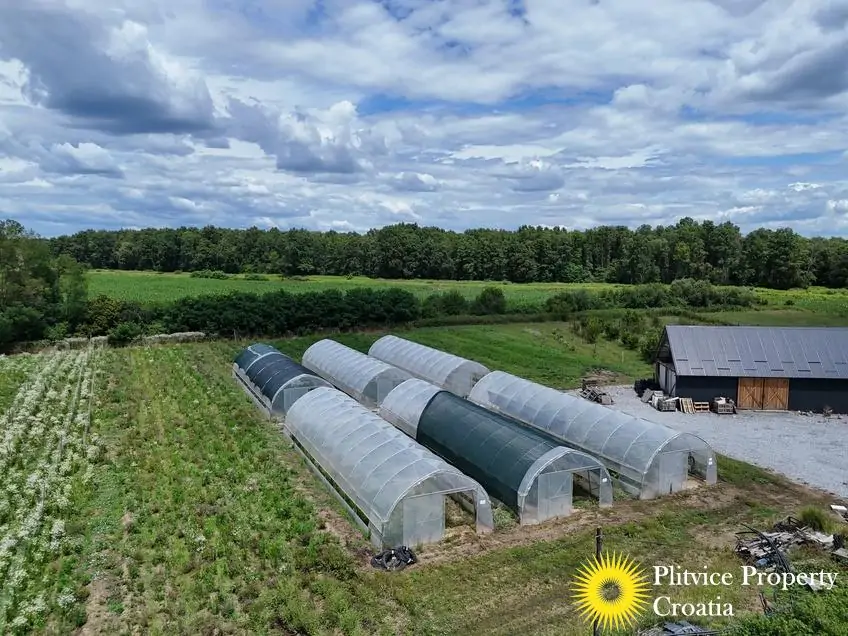 dji_fly_20250710_121226_0858_1752207350455_fotka