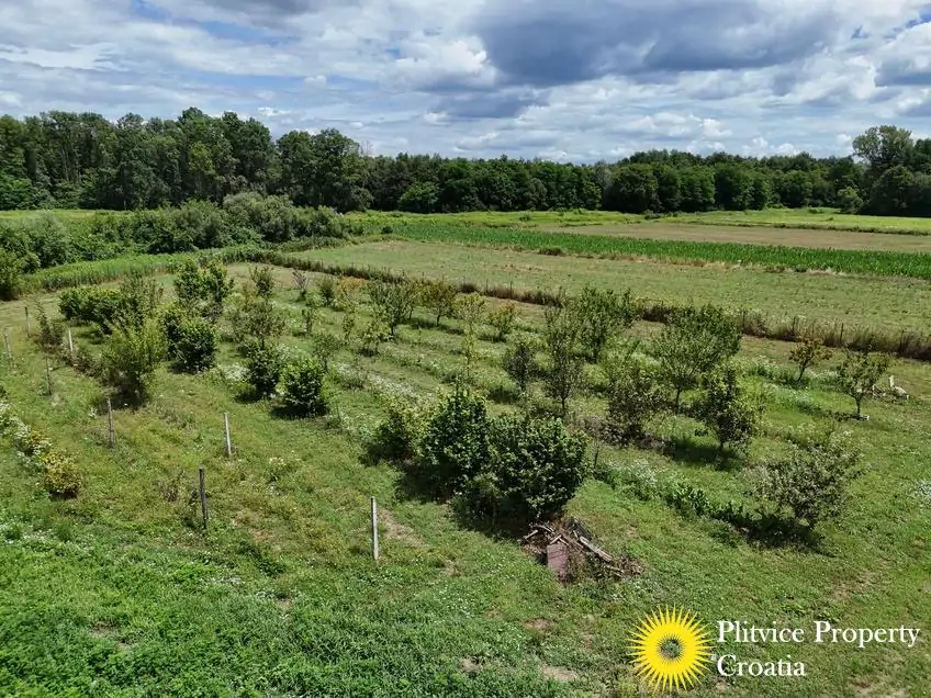 dji_fly_20250710_121244_0860_1752207349619_fotka