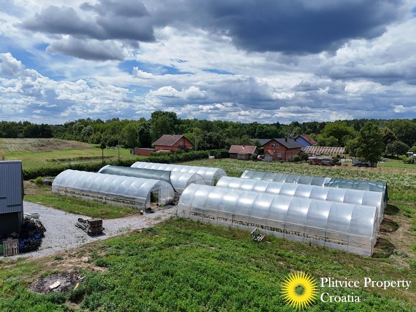 dji_fly_20250710_121308_0862_1752207348684_fotka